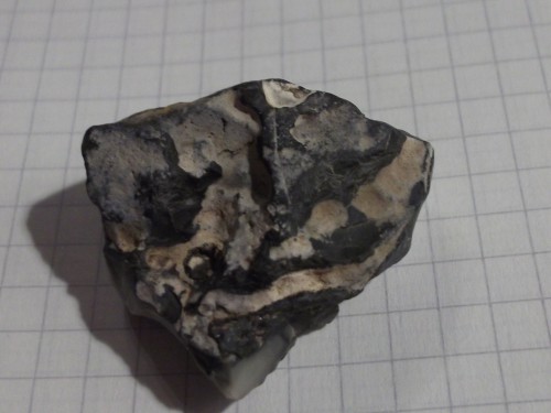 DSCF2831.JPG