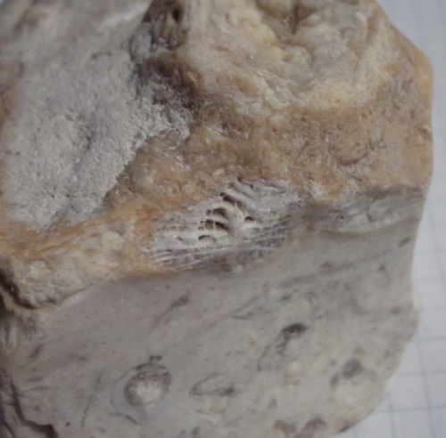DSCF2851.JPG