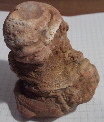 DSCF2839.JPG