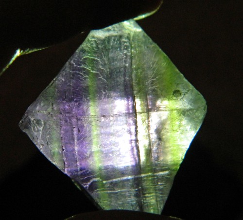 DSCN1091.JPG