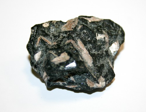 8207.jpg